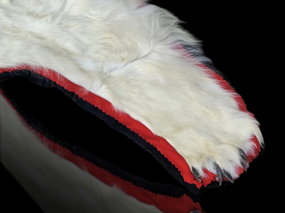 Exceptionnelle peau d'ours polaire empaillée (10 pieds x 9) taxidermie 6 Exceptionnelle peau d'ours polaire empaillée (10 pieds x 9) taxidermie 6