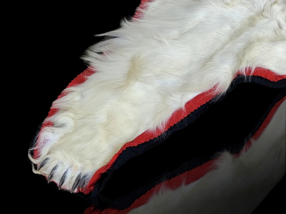 Exceptionnelle peau d'ours polaire empaillée (10 pieds x 9) taxidermie 7 Exceptionnelle peau d'ours polaire empaillée (10 pieds x 9) taxidermie 7