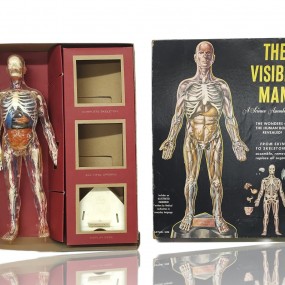 #58312 - 45$ Jouet Renwal pour enfant, The visible man, 