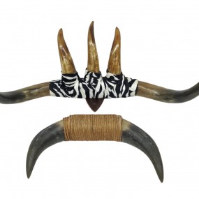 #59425 - 35$ et 65$ Vintage wall beef horns