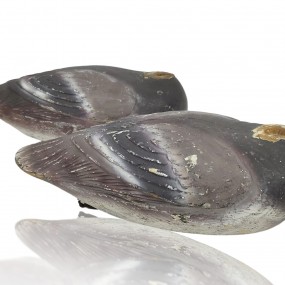 #59750 -  Pair of Joseph Paquette wooden ducks decoys #59750 -  Pair of Joseph Paquette wooden ducks decoys