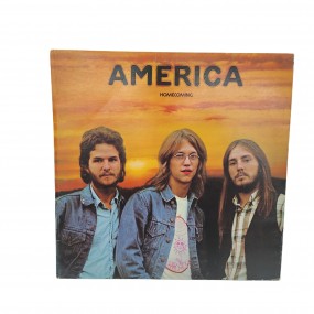 #60556 - 10$ America Homecoming vinyl