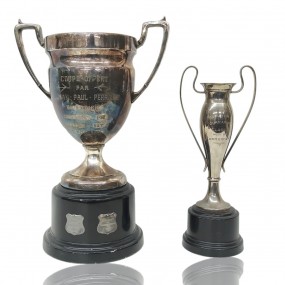 #61262 -  Anciens trophées vintages décoratifs 