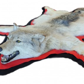 #62028 - 545$ Taxidermy wolf skin fur