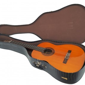 #62088 -  Guitare classique Mansfield TG60R