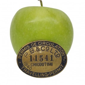#62815 - 110$ Vintage Chicoutimi travelling permit, badge 