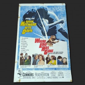 Affiche de cinéma ''poster'' promotionnel du film Where love has gone 