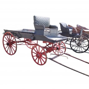Ancienne voiture express à cheval , calèche, buggy