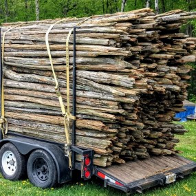 Old cedar poles for fence, 10 to 11 feets long