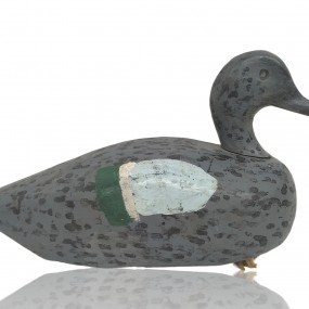 Appelant de chasse au canard, sarcelle, Émile Desmarais