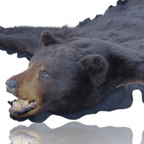 Belle peau d'ours décorative 