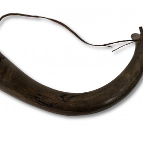 Powder horn