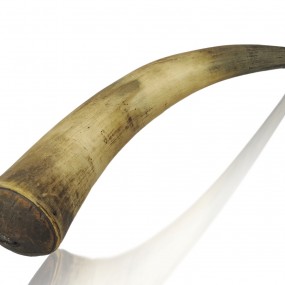 Horn for firearm powder 