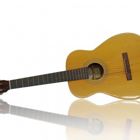 Vintage Harmony classic guitar