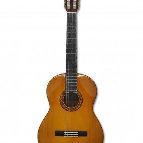 C-40 Yamaha guitar