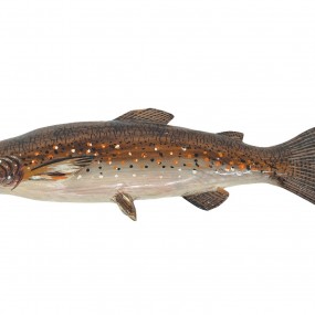 Wooden carved trout, folk art sculpture, carving 
