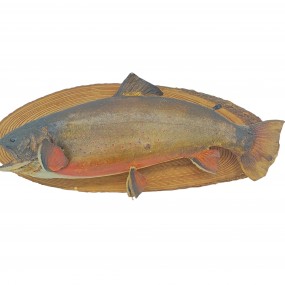 Vintage taxidermy fish on wood plaque, taxidermy