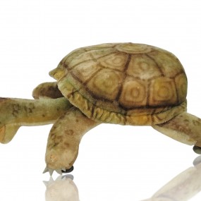 Toutou Steiff, peluche tortue 