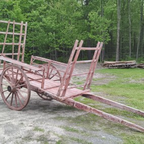 Voiture brancard à cheval, charrette à chevaux