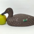 Appelants sarcelles, canards de bois fait par Arthur ''Pit'' Boucher  - 10