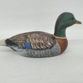 Canard colvert sculpté. Décoys artisanal. Pièce authentique. - 3