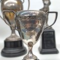 Vintage trophy  - 6