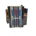 Ancien accordéon, instrument de musique - 2