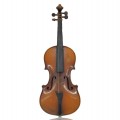 Violin, Music instrument  - 2
