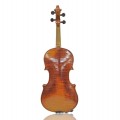 Vintage violin, music instrument  - 3