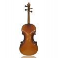 Violin, Music instrument  - 3
