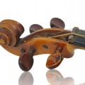 Violin, Music instrument  - 4