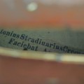 Violin, Music instrument  - 5