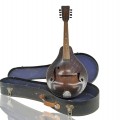 Vintage mandolin, music instrument  - 1