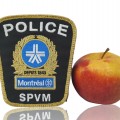 Police and ohers badges - 2