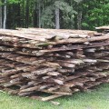 Old cedar poles for fence, 10 to 11 feets long - 2