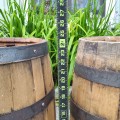 Wooden vintage barrels - 2