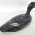 Appelant, canard en bois  - 3