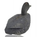 Appelant, canard en bois fait par Raymond Berthiaume  - 3