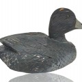 Appelant, canard en bois fait par Raymond Berthiaume  - 1