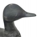 Appelant, canard en bois sculpté par Raymond Berthiaume, Sorel - 2