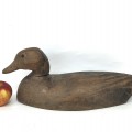 Appelant de chasse, canard de bois  - 3