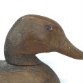 Hunting duck decoy  - 4