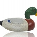 Appelant de chasse, canard en bois  - 4