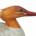 Appelant de chasse, canard en bois décoratif signé Léo Chagnon  - 2