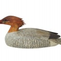 Appelant de chasse, canard en bois décoratif signé Léo Chagnon  - 4