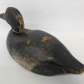 Duck hunting decoy made by Peterborough Canoe Co - 2