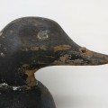 Duck hunting decoy made by Peterborough Canoe Co - 3