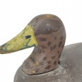 Vintage hunting duck decoy  - 3
