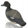 Appelant de chasse, canard décoratif en bois  - 3