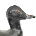 Wooden duck hunting decoy signed Louis Matte - 2